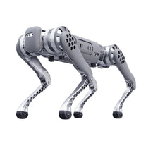 Intelligent quadruped robot Unitree B1（Contact us for the real price）